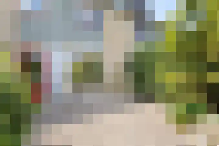 de Chamillylaan 15 Grave thumbnail 32