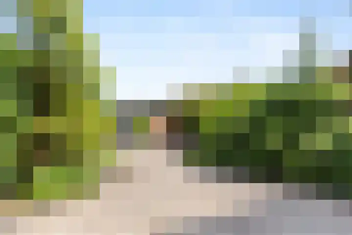 de Chamillylaan 15 Grave thumbnail 34