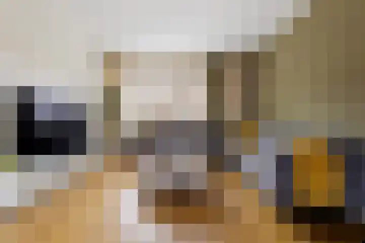 de Chamillylaan 15 Grave thumbnail 45