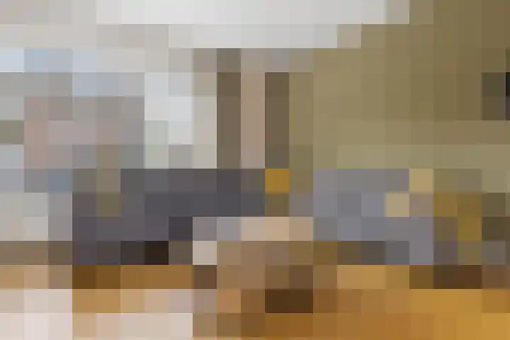 de Chamillylaan 15 Grave thumbnail 5