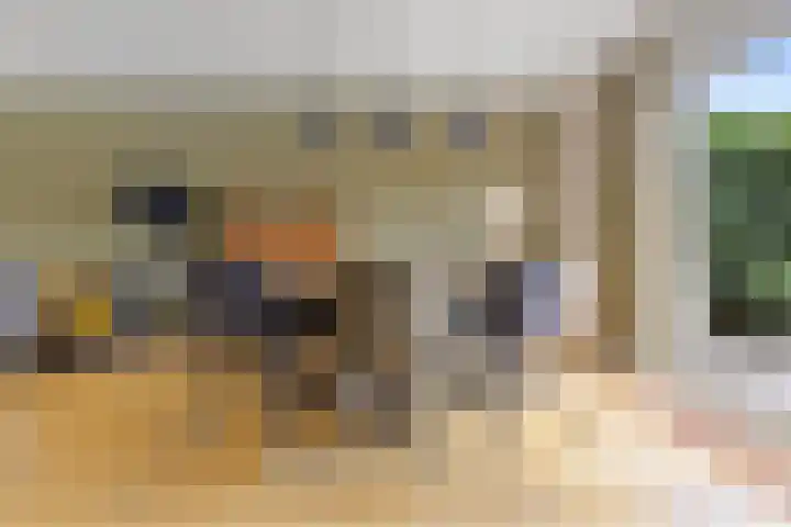 de Chamillylaan 15 Grave thumbnail 9