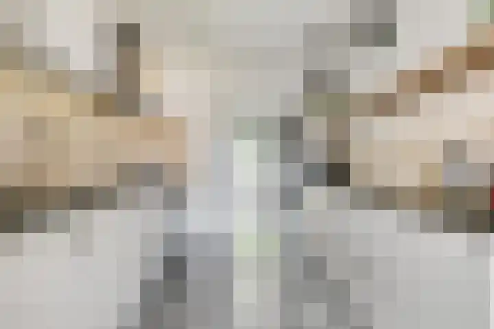 de Chamillylaan 17 Grave thumbnail 15