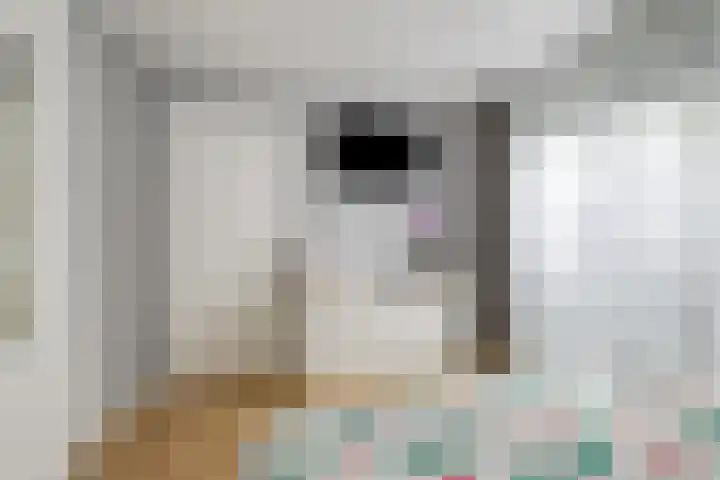 de Chamillylaan 17 Grave thumbnail 19