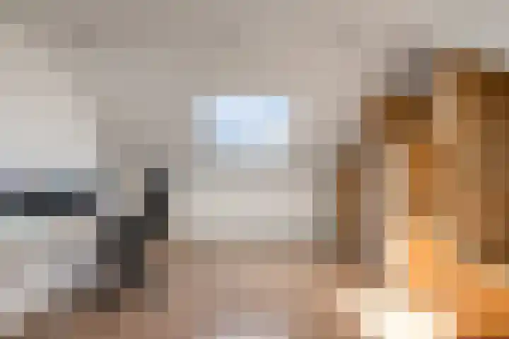 de Chamillylaan 17 Grave thumbnail 28