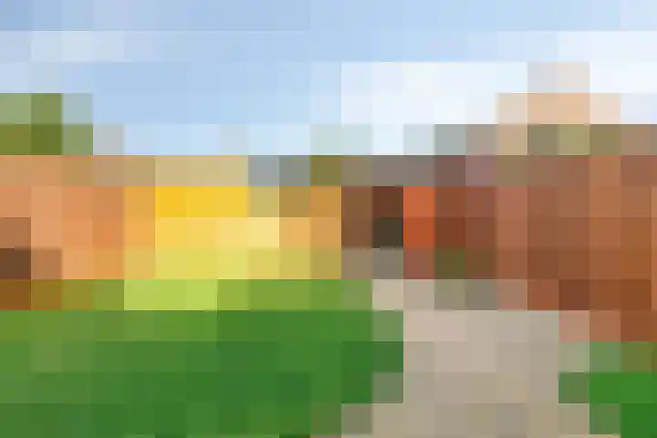 de Chamillylaan 17 Grave thumbnail 32