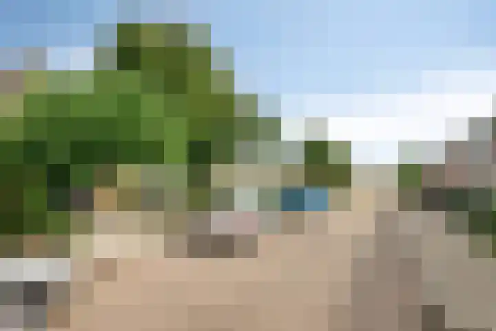 de Chamillylaan 17 Grave thumbnail 4