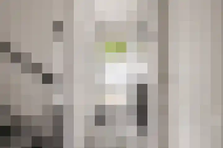 de Chamillylaan 17 Grave thumbnail 6