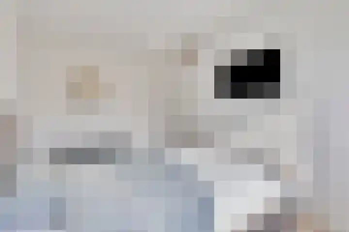 De Cingel 2 B Hooge Mierde thumbnail 13