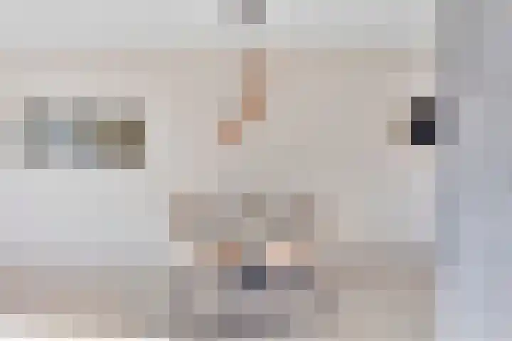 De Cingel 2 B Hooge Mierde thumbnail 8
