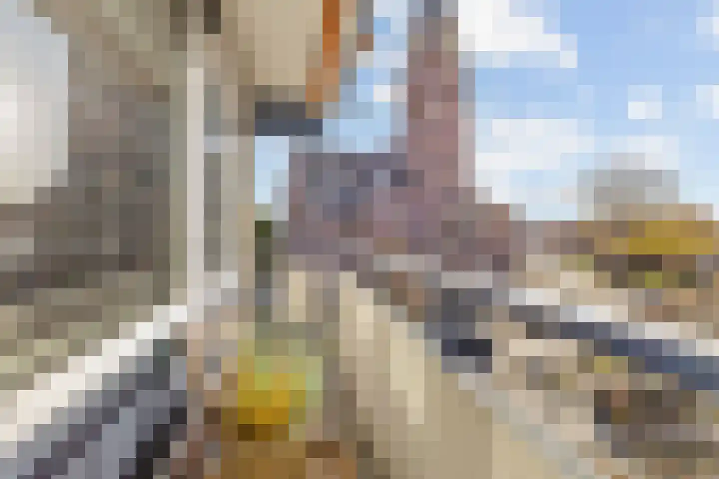 De Clinge 15 Bussum thumbnail 6
