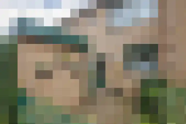 De Commanderie 31 Westervoort thumbnail 9