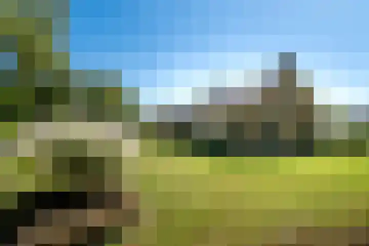 de Conincklaan 27 Peize thumbnail 33