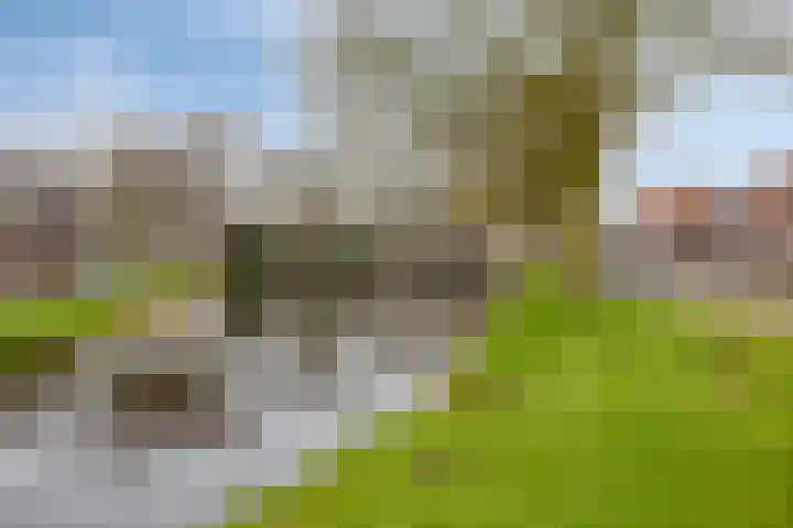 De Cooghstraat 20 Volendam thumbnail 35
