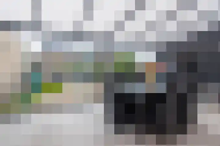 de Cornet 8 Ewijk thumbnail 13