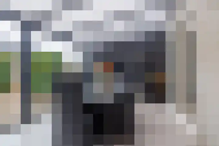 de Cornet 8 Ewijk thumbnail 14