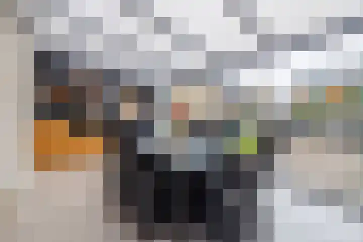 de Cornet 8 Ewijk thumbnail 15