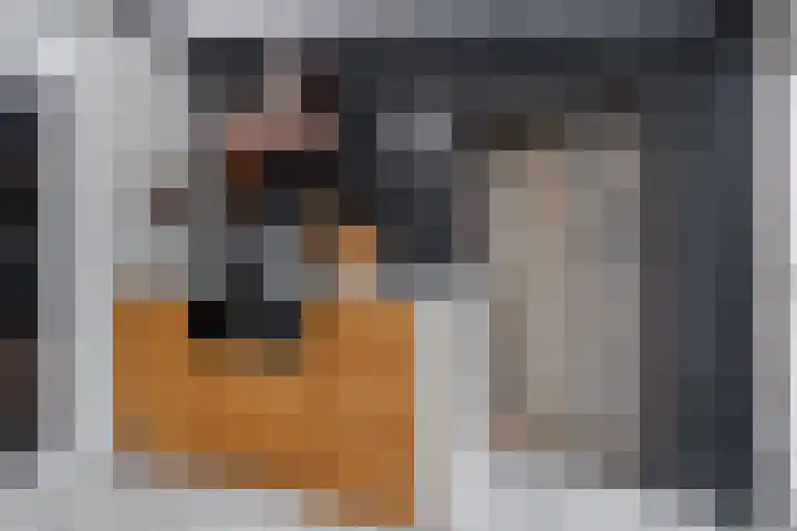 de Cornet 8 Ewijk thumbnail 18