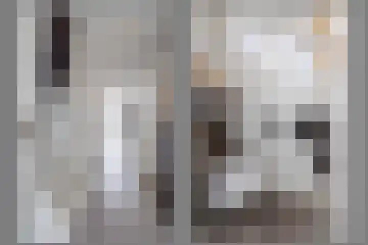 de Cornet 8 Ewijk thumbnail 19