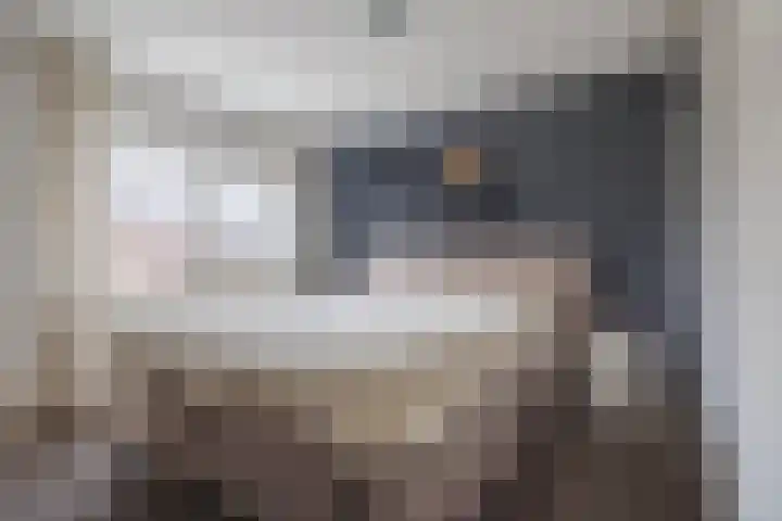 de Cornet 8 Ewijk thumbnail 21