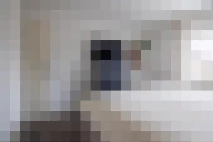 de Cornet 8 Ewijk thumbnail 22