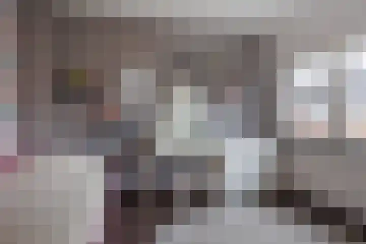 de Cornet 8 Ewijk thumbnail 24