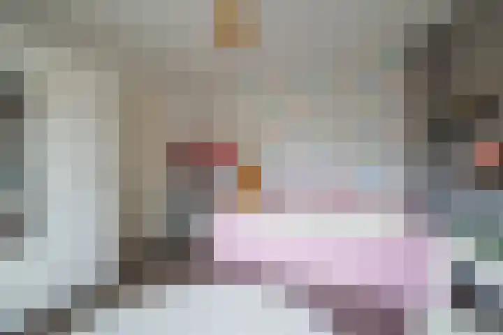 de Cornet 8 Ewijk thumbnail 26