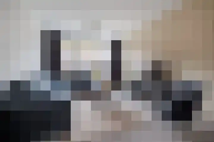 de Cornet 8 Ewijk foto 3