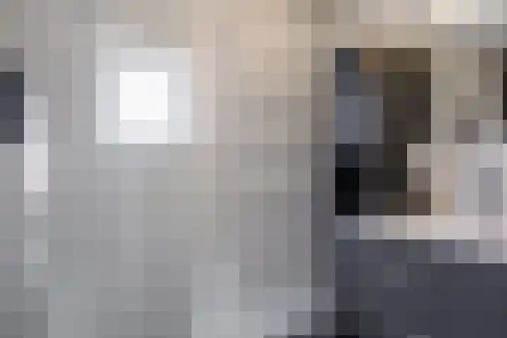 de Cornet 8 Ewijk thumbnail 32