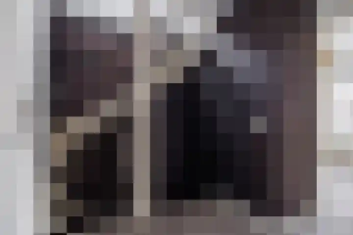 de Cornet 8 Ewijk thumbnail 33