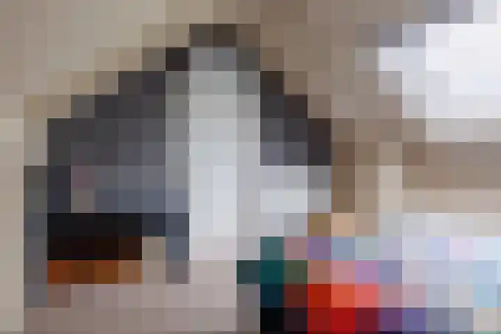 de Cornet 8 Ewijk thumbnail 36