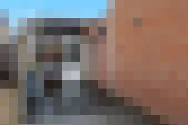 de Cornet 8 Ewijk thumbnail 37