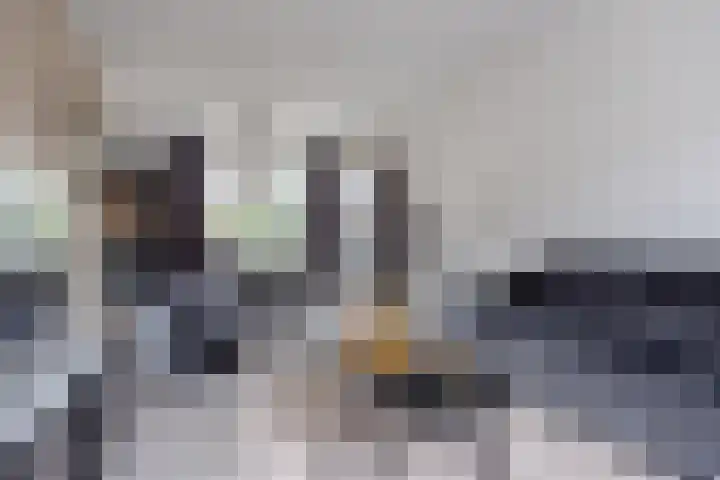 de Cornet 8 Ewijk thumbnail 4
