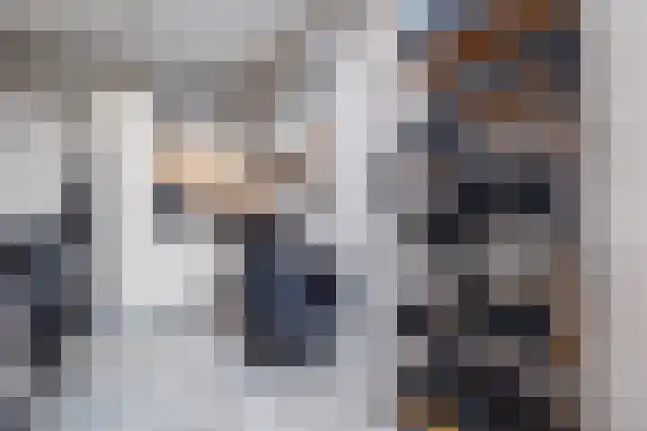 de Cornet 8 Ewijk thumbnail 41