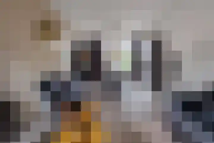 de Cornet 8 Ewijk thumbnail 5
