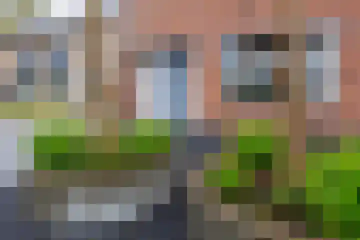 de Cornet 8 Ewijk thumbnail 51