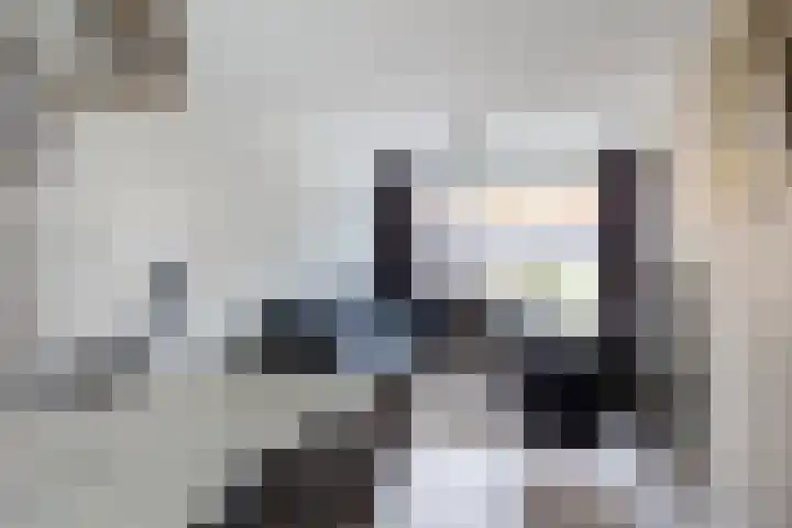 de Cornet 8 Ewijk thumbnail 6