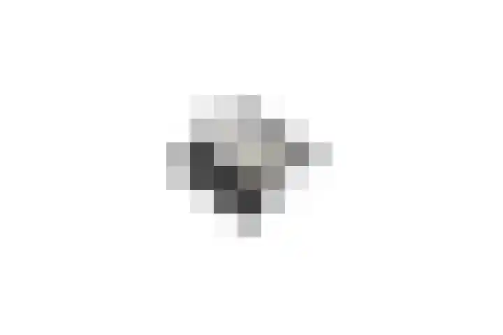 de Cornet 8 Ewijk thumbnail 62