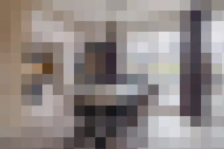 de Cornet 8 Ewijk thumbnail 7