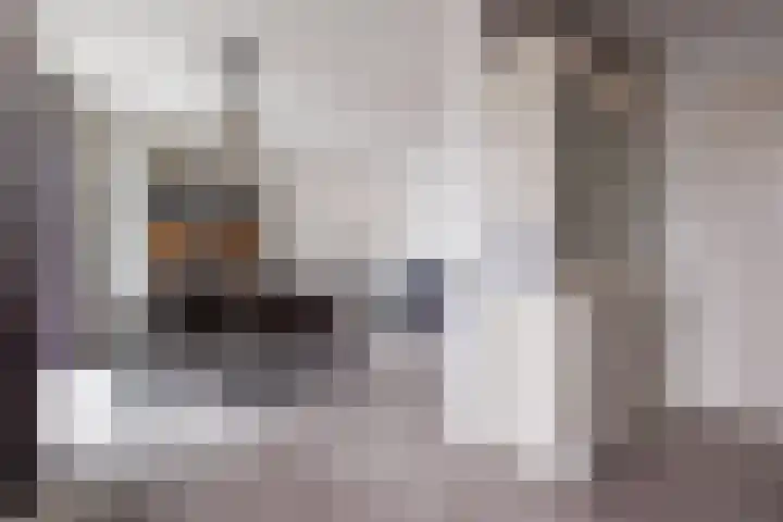 de Cornet 8 Ewijk thumbnail 8
