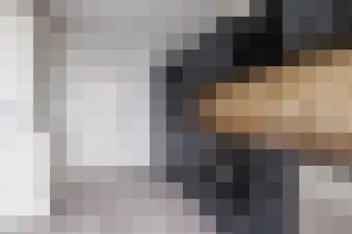 de Cornet 8 Ewijk thumbnail 9