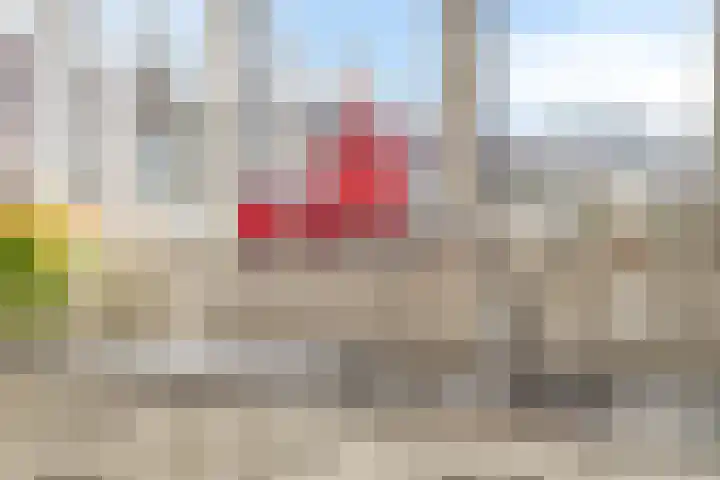 De Dagmaat 48 Dronten thumbnail 20