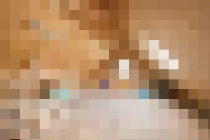 De Dagmaat 48 Dronten thumbnail 32