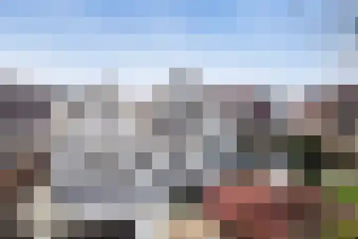 De Dagmaat 48 Dronten thumbnail 55