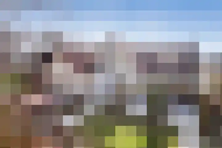 De Dagmaat 48 Dronten thumbnail 56
