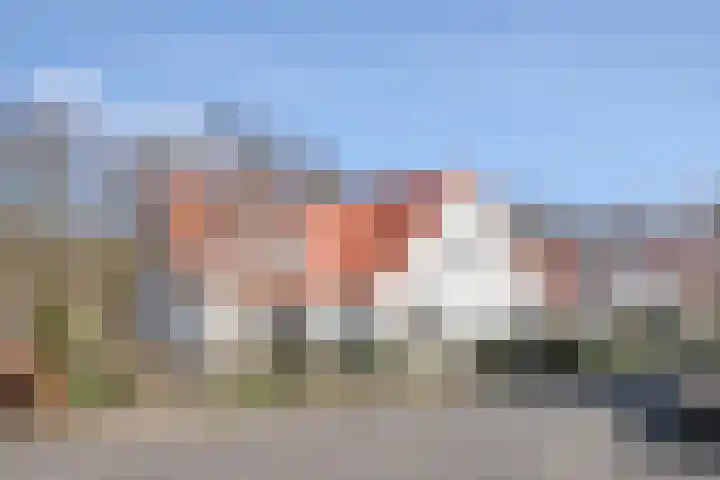 De Dagmaat 48 Dronten thumbnail 58