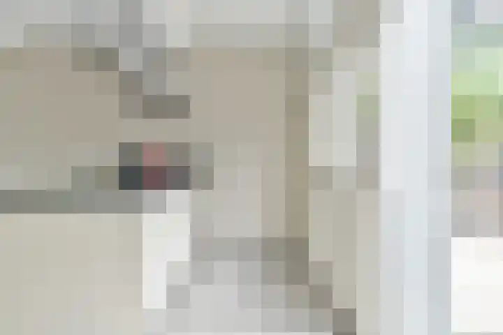 de Dam 70 Blaricum thumbnail 11