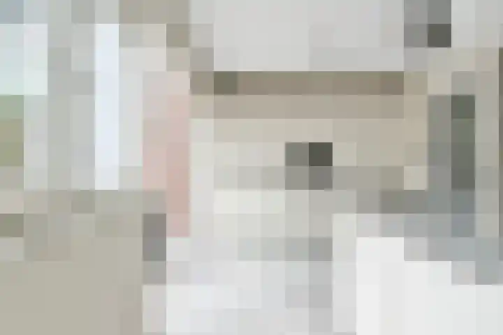 de Dam 70 Blaricum thumbnail 12