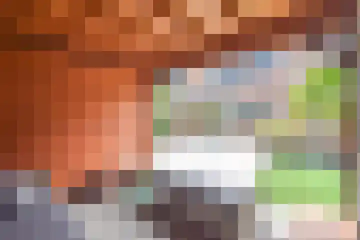 de Dam 70 Blaricum thumbnail 19