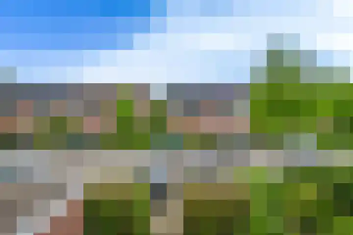 de Dam 70 Blaricum thumbnail 25
