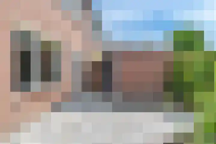 de Dam 70 Blaricum thumbnail 31